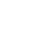 사