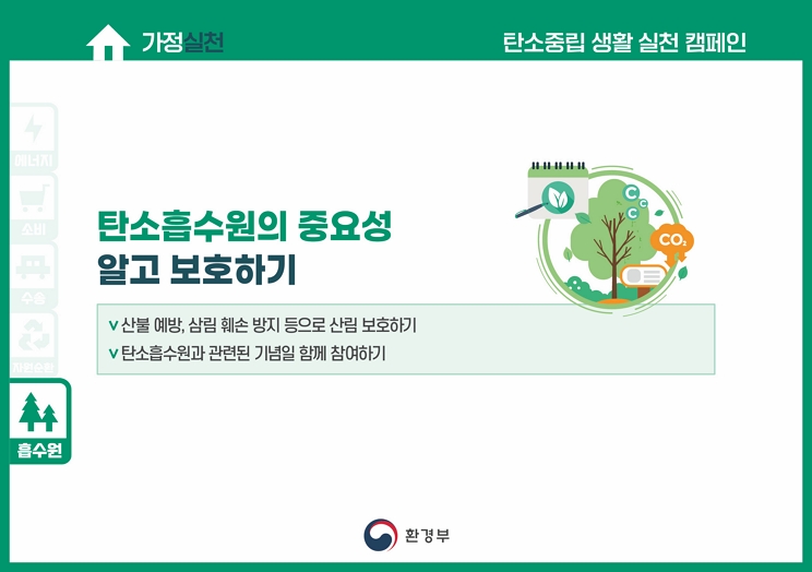 탄소흡수원의 중요성 알고 보호하기 | : 탄소중립 실천포털