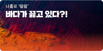 나홀로 '펄펄' 바다가 끓고 있다?!